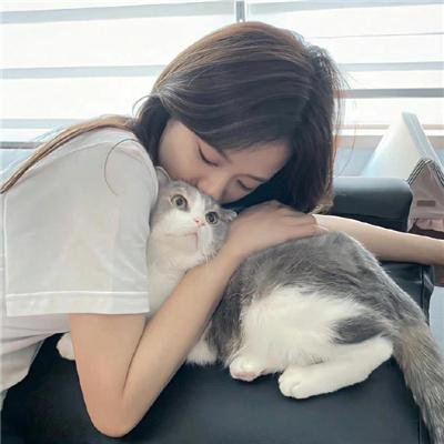 哈菲兹